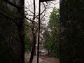 Bemausam Barish #india #dance #art #artist #tourism #travel #trending #hindisong #bollywood