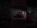 جوات القلب الموجوع نار شواق وبحر دموع
