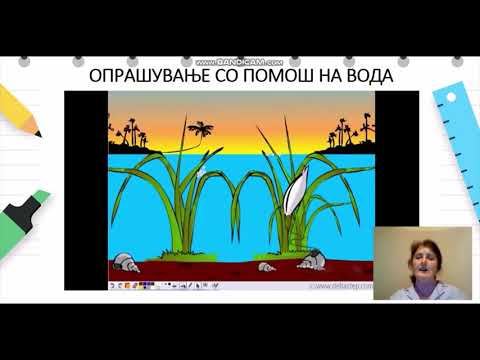 5то ПРИРОДНИ НАУКИ ВИДОВИ ОПРАШУВАЊЕ КАЈ РАСТЕНИЈА ШТО ЦВЕТААТ 2  НЕТКА ДИМОСКА