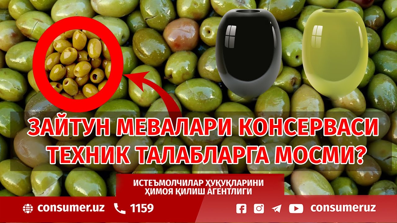 Зайтун мевалари консерваси сифати назоратдан ўтказилди