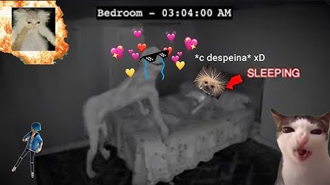 ARRUINANDO VÍDEOS DE TERROR!! (parte -18)😎😹