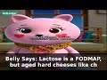 Belly Says: Lactose is a FODMAP, but aged hard cheeses like ch | Low FODMAP Diet