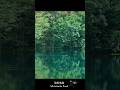 manatora 御射鹿池｜Mishakaike Pond feat. 石川愛美 #manatora #japan #japantravel #cinematic #nagano