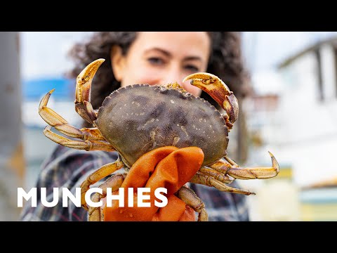 Farideh’s in Oregon Searching for Dungeness Crab