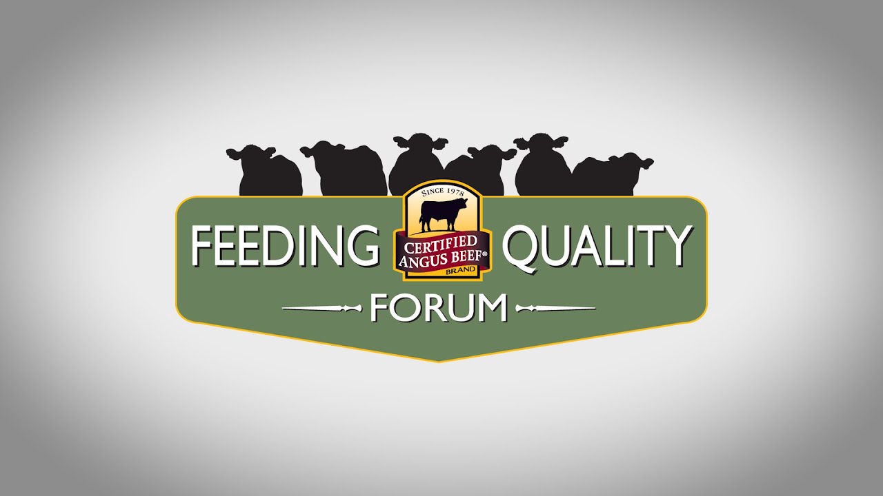 Feeding Quality Forum coming to you YouTube