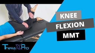 Manual Muscle Test | Knee Flexion
