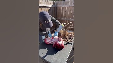 The first step in making a #taxidermy deer mount!