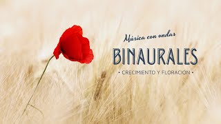 ✅Música PARA FLORACIÓN y CRECIMIENTO de PLANTAS (con ONDAS BINAURALES) 🍀