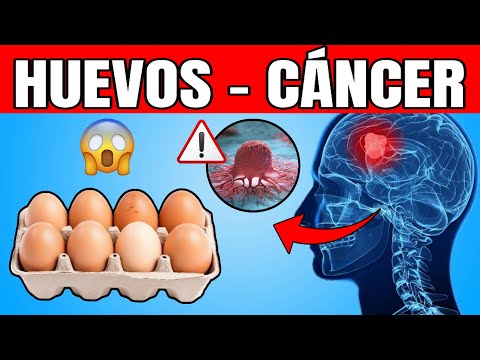 ¡Nunca comas huevos