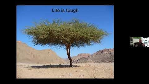 EEB Virtual Seminar Daniel Jarosz, Stanford University