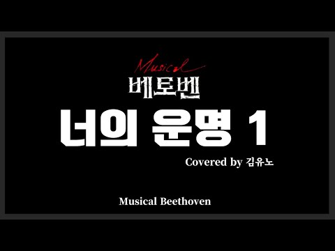 뮤지컬 베토벤 - 너의 운명 1 [Covered by 김유노]