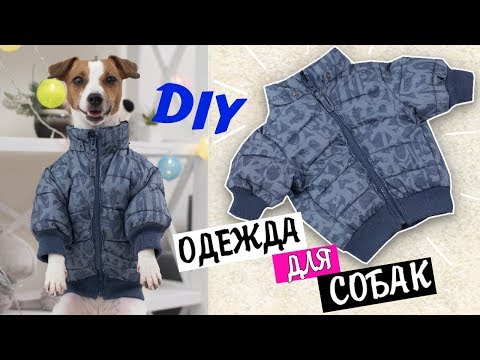 КУРТКА ДЛЯ СОБАК ИЗ ДЕТСКОЙ ОДЕЖДЫ | ОДЕЖДА ДЛЯ СОБАК СВОИМИ РУКАМИ ч. 2