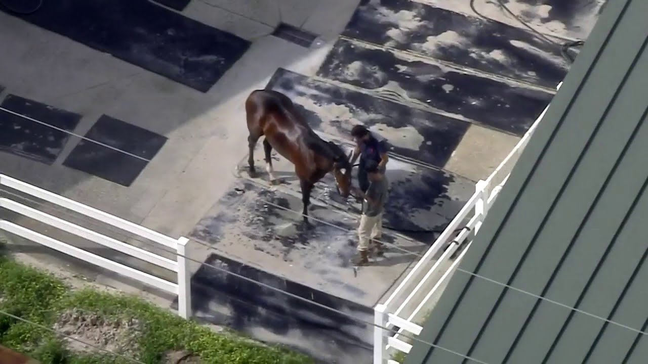 Stables at Gulfstream Park underwater