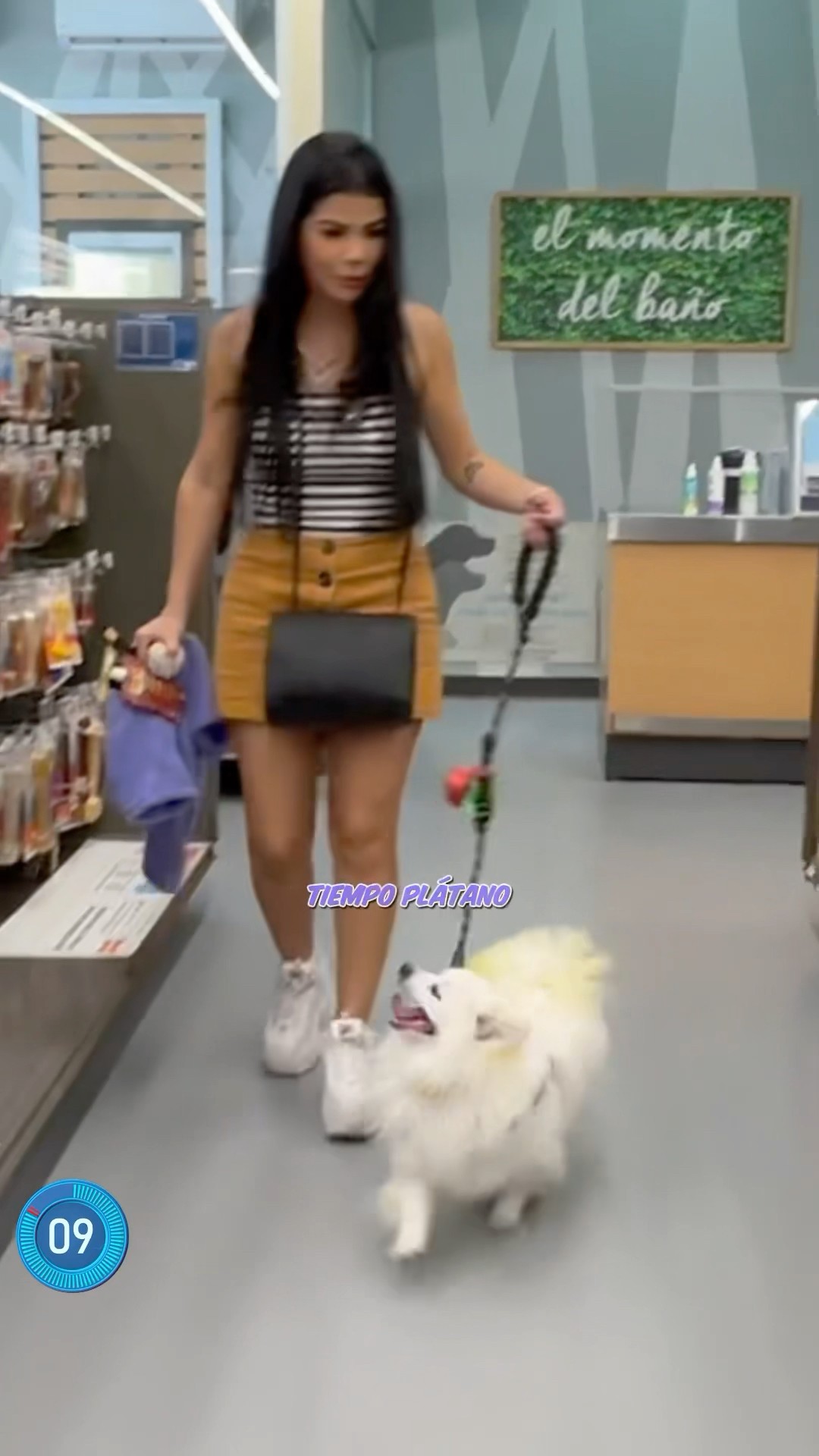 LE COMPRO a MI PERRITO TODO LO QUE TOQUE!