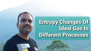 Entropy changes of an ideal gas in different processes