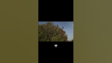 سورة العنكبوت || عبد الرحمن مسعد