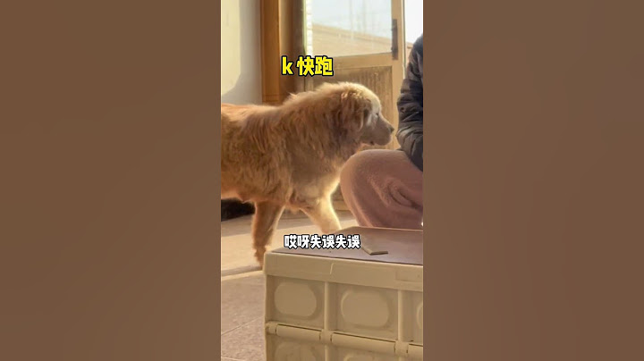🐶说好的团结友爱呢？ #藏獒 #萌宠 #dog