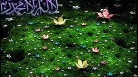 الجزء الرابع من القرآن الكريم للشيخ حسن صالح