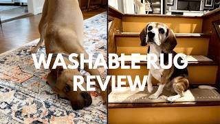 Top 5 Washable Rugs for Home & Airbnb: Long-Term Review After 2+ Years