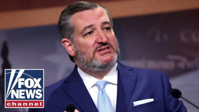 Accomplices In Chaos Ted Cruz Calls Out Dems For Aiding And Abetting
