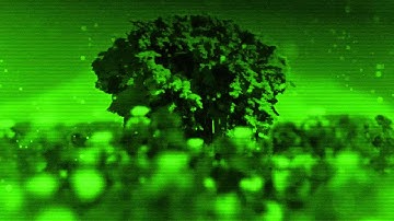 Interactive Projection Mapping: Canvas Five Night Vision