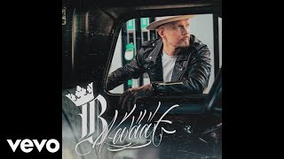 Video thumbnail of "Brädi - Keväät (Official Audio)"