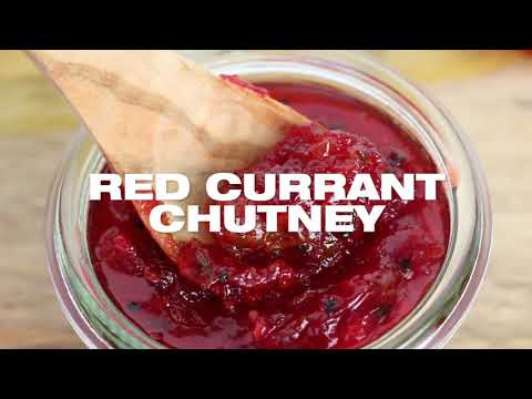 Red Currant Chutney Recipe