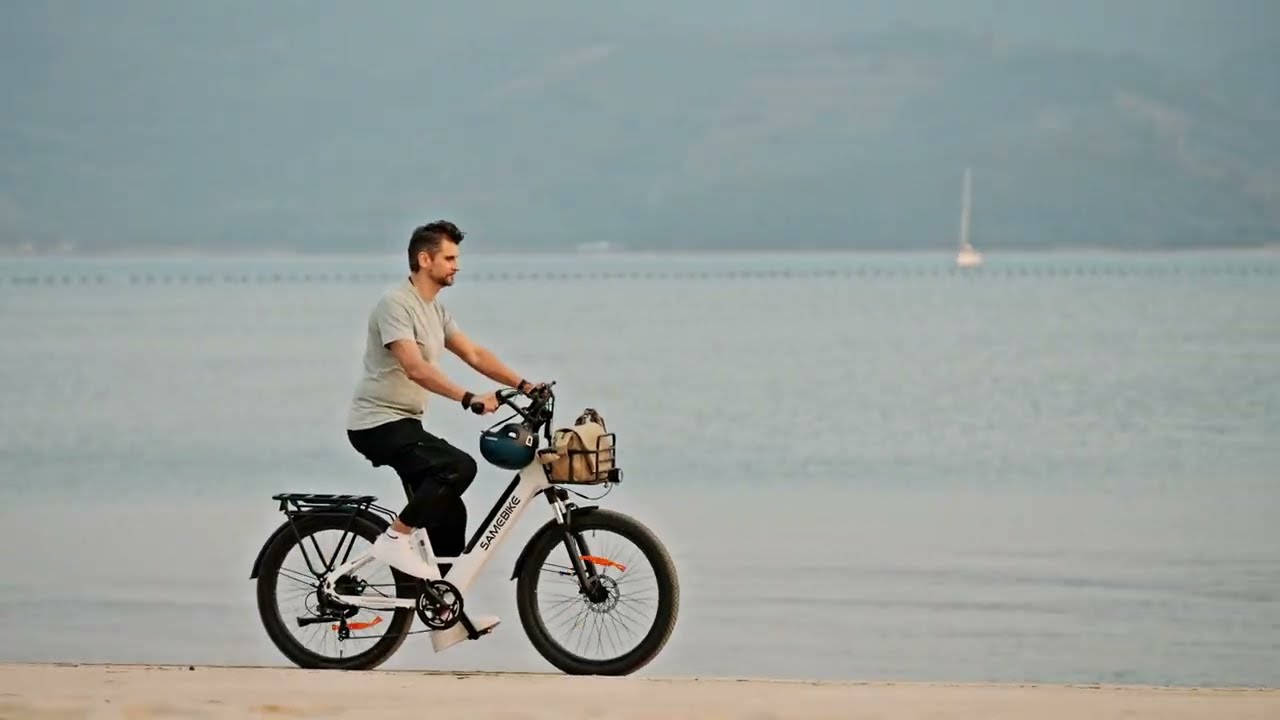 SAMEBIKE | RS-A01 Plus High Torque Daily Commuting Electric City Bike