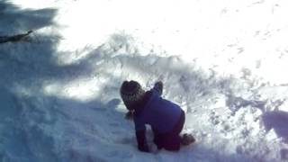 Josiah sledding..