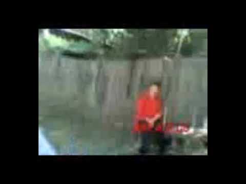 ბებო იგინება!!