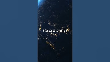 Sourate Al Ghashiyah سورة الغاشية part.2 #quran #islam