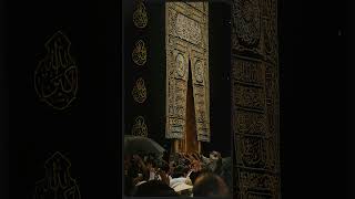 Surah Ash-Sharh (Al-Inshirah) Beautiful Recitation | Soothing Quran Tilawat for Peace & Motivation