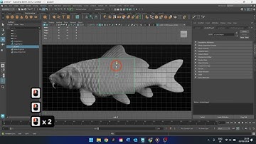 Maya Fish Tutorial For Beginners. Part One. Sculpt & Model a 3D Fish with Clean Topology