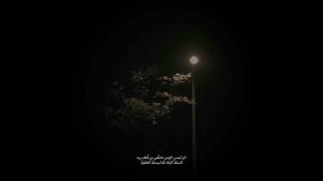 قران كريم بصوت عبدالرحمن مسعد 🌿🤍 حالات واتس اب دينية مقاطع استقرام