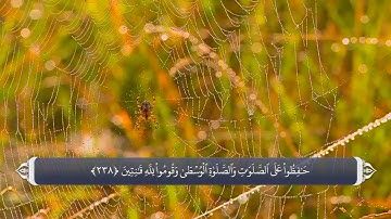 نماز - آیه 238 سوره بقره