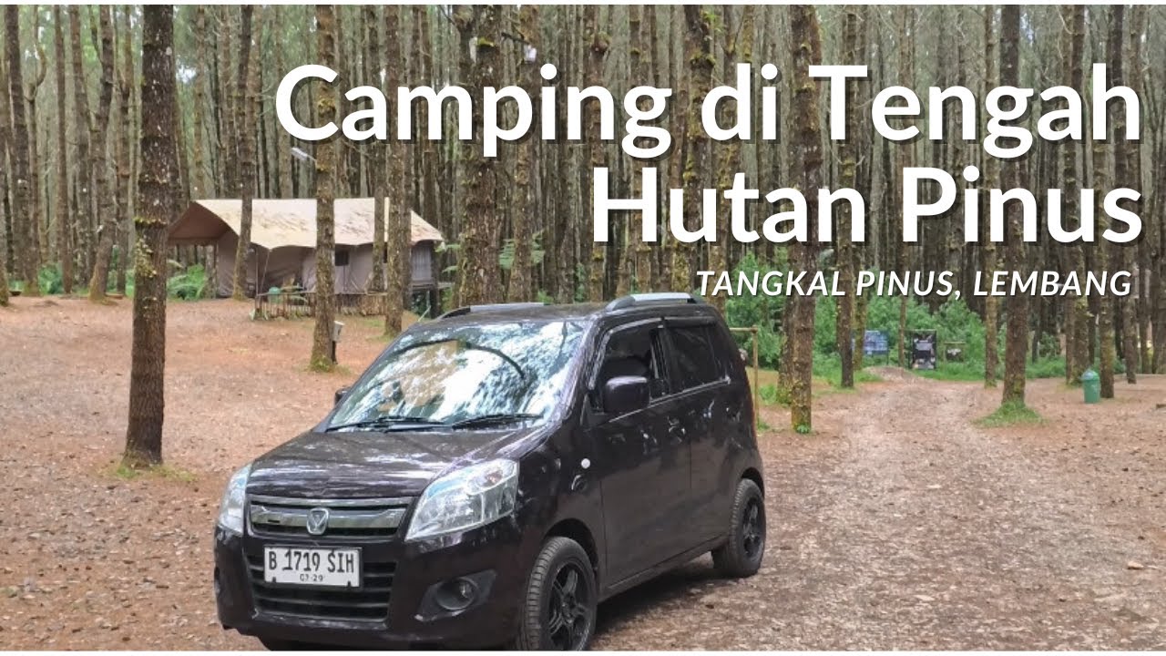 Camping Santai Bareng Keluarga di Hutan Pinus Lembang | Healing Time