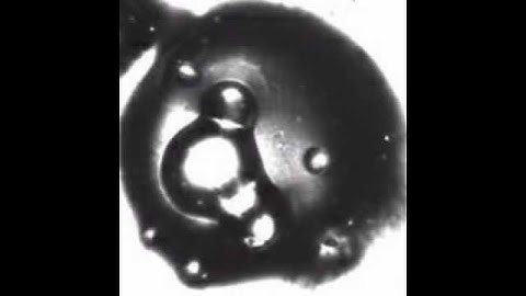 Double emulsions with coalescing water drops part II.avi