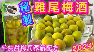 【雞尾梅酒釀製🥃】簡單方便⭐️健康美酒🪙喜歡果味/甜潤/易用入口😋我哋就咁浸💪🏼想失敗都難😚