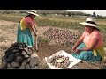 ESCARBANDO PAPA EN EL CAMPO Y HACIENDO HUATIA  -COCINA CON MAMILA