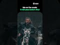 Pro Tip Horses Don T Have To Stop At Traffic Lights Series Resurrection Ertuğrul 