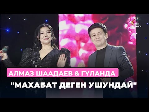 Алмаз Шаадаев &