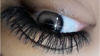 Lash Photo Edit screenshot 5