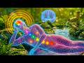 999 Hz ✨🏵️ Get Rid Of All Bad Energy • Unblock All 7 Chakras • Calm Your Mind & Find Inner Peace