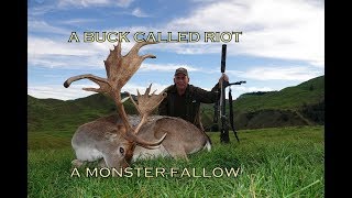 FALLOW BUCK HUNTING NEW ZEALAND