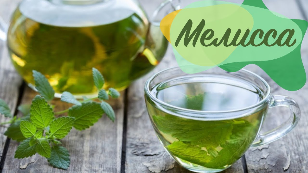 Зеленые холодной водой. Чай с мелиссой и мятой. Травяной чай Мелиса мята.