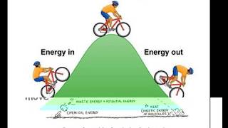 Famous Physics#4 Energy Notebook Video Profile