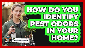 How Do You Identify Pest Odors In Your Home?
