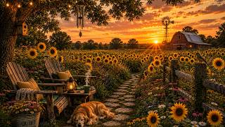 LIVE Sunflower Fields at Sunset | Country Farm Ambience with Crickets, Breeze & Soft Wind Chimes screenshot 4
