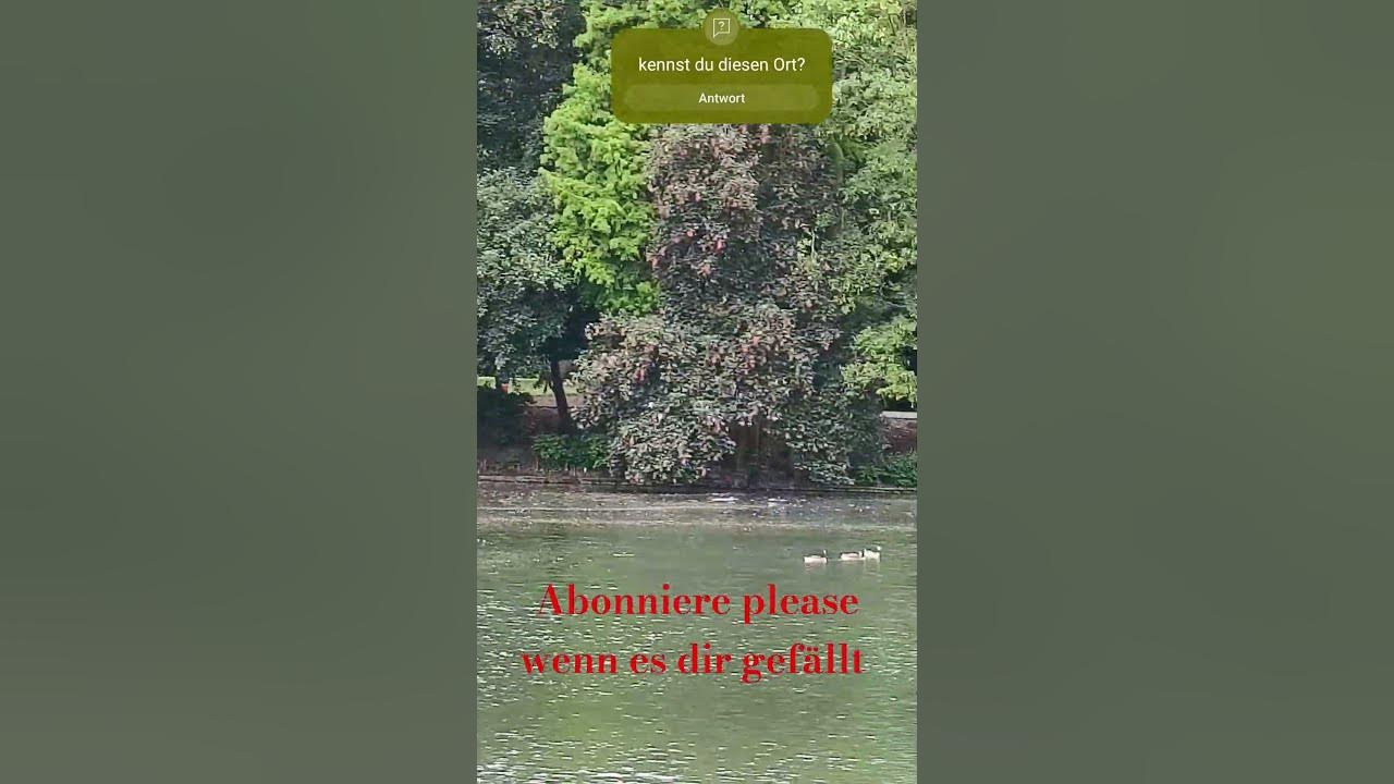 Schöner Teich in Düsseldorf YouTube