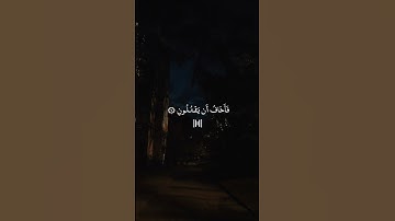ما تيسر من سورة الشعراء 🤎💛